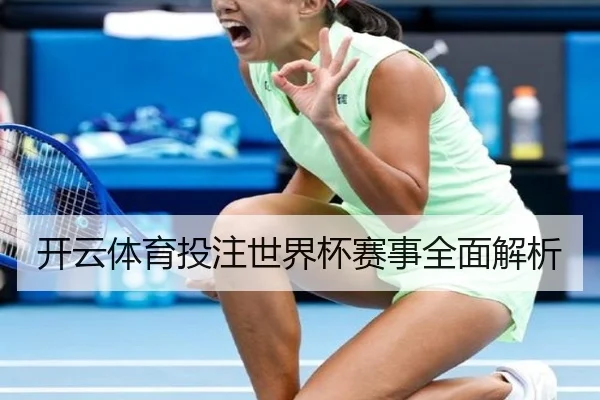 开云体育投注世界杯赛事全面解析